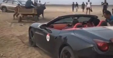 Застрявший в песке суперкар Ferrari вытаскивала пара волов (видео)
