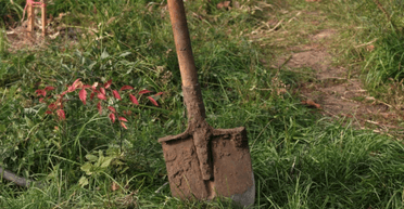 Мужчина нашел жуткую капсулу времени в саду: содержимое напугало его еще больше (фото)