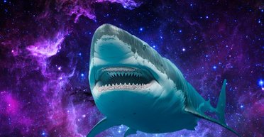 Вызывали военный самолет: мужчина выжил после нападения акулы (фото)