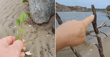 Чудо на Хортице: украинец показал, что было на дне реки, когда отступила вода (фото)