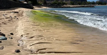 Погребенные под песком: древние гавайские петроглифы внезапно появились на берегу Оаху (фото)
