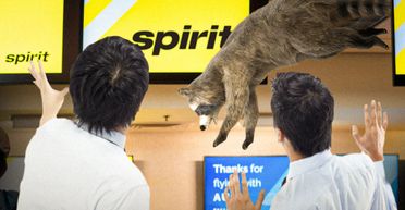 Нажахані люди кричали: дикий звір випав зі стелі й паралізував роботу аеропорту (відео)