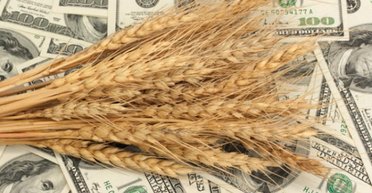 Ловушка аграрной державы. Японский взгляд на украинскую экономику