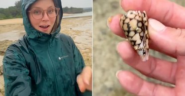 Дівчина просто хотіла подивитися на мушлю, і ледь не загинула: що сталося