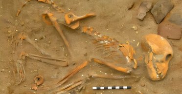 Жити потрібно цікаво: римські полководці дарували своїм ручним мавпам домашніх тварин