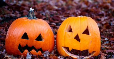 Принесет много вреда: почему нельзя оставлять тыквы на улице