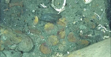 Сокровище стоимостью 17 миллиардов долларов: его нашли, однако не могут достать (фото)