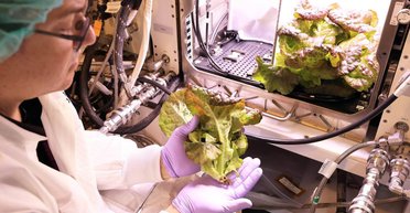 NASA обнаружило, что космический салат не спасет астронавтов во время полета на Марс