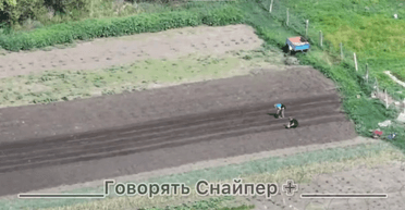 На Донбасі місцеві саджають картоплю, поки на сусідніх вулицях тривають штурми (відео)