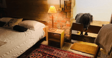 Незвичайне орендоване житло: гості сплять поруч із чарівним поні (фото)