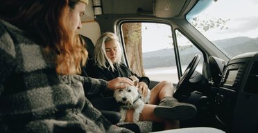 З тваринами за кордон. Як переїхати в іншу країну з собакою чи котом