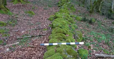 Хотели остановить легендарного раба-повстанца: найдена древнеримская стена из рассказов о Спартаке