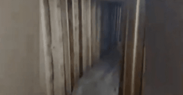 Портреты Путина и Балицкого: россияне вырыли подземные бункеры в Запорожской области (фото, видео)