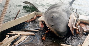 Из чего сделаны "Челюсти". 45 лет первому в мире блокбастеру