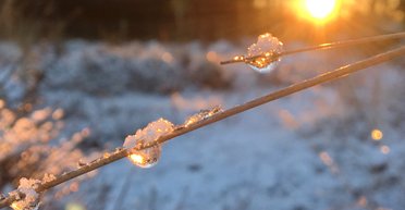 Прогноз погоды на выходные 3–4 февраля: дожди со снегом и плюсовая температура