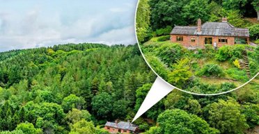 Одиночество среди леса: в Британии продают загадочный коттедж возле заброшенной шахты (фото)