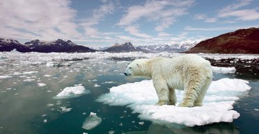 Тренды: глобальное потепление ненадолго откладывается