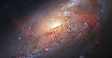 Никуда не скрыться. Ученые заявили, что вирусы могут существовать повсеместно во Вселенной