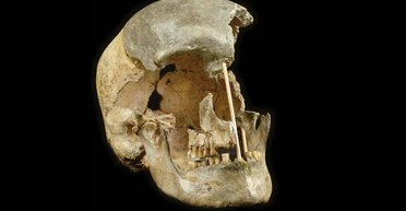 Ученые раскрыли секрет геномов самых древних Homo Sapiens
