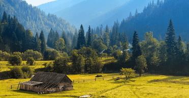 У покинутій хатині високо в горах знайшли самотню жінку: що вона розповіла (фото)