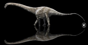 Длиной более 40 метров. Ученые назвали самого длинного в истории динозавра