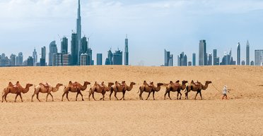 Первопроходцы 2.0. Истории украинцев, открывших бизнес в ОАЭ, Израиле, Корее и Сингапуре