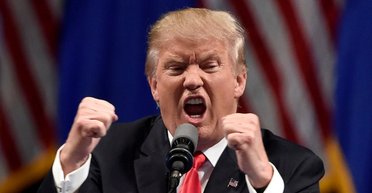 Вся президентская рать. Кто есть кто в команде Дональда Трампа