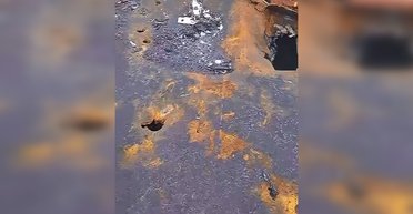 РФ атаковала гражданское судно вблизи Одессы: появились кадры последствий ракетного удара (видео)