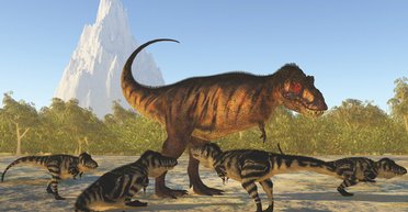 До свого 40-річчя тиранозаври були слабаками: грозу Крейдового періоду ганяли дрібні хижаки