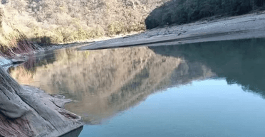 Гуляв біля річки: люди помітили "майже прозорого інопланетянина" (фото)