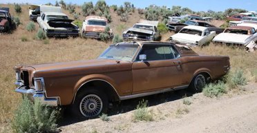 Брошенные раритеты: в США нашли свалку с сотнями редких автомобилей (фото)