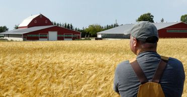 Мясо, рыба и трава. На чем заработать начинающим аграриям, вложив в бизнес небольшие деньги
