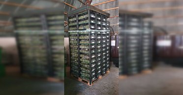 В Украину завезли сотни килограммов опасных продуктов из Турции: детали (фото)