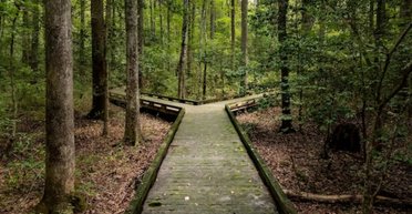 Тільки "дуже розумні люди" зможуть розв'язати просту загадку й уникнути "вірної смерті"