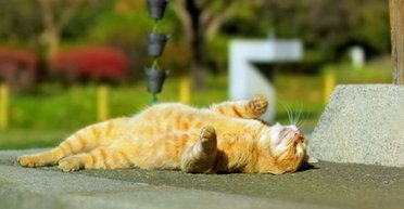 "Потихоньку слышны духи осени": синоптик рассказала, какой будет погода в Украине завтра