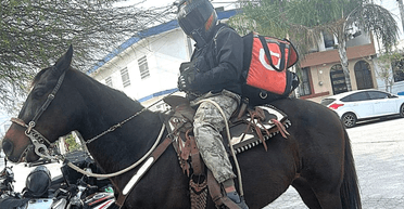 Транспорт подвел: курьер решил доставлять заказ верхом на лошади (видео)