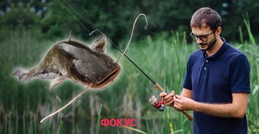 Охота на рыбу-великана: топ-места в Украине для ловли сома и карася