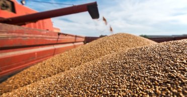 Украина передала гумпомощь Палестине, чтобы прокормить 100 000 человек, — МИД