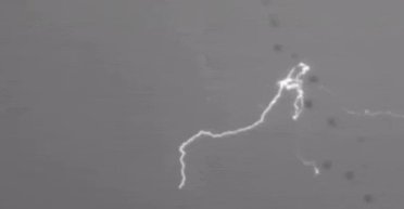 В Пуэрто-Рико молния ударила троих детей: момент поражения попал на видео