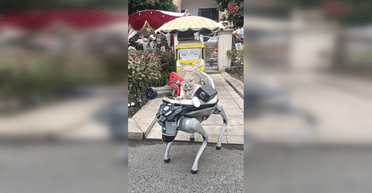 "Ось як вони захоплять світ": кролик на роботі-псі "лякає" перехожих кулеметом (фото, відео)