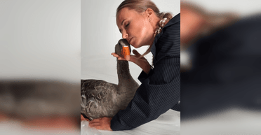 "Загнали тварину в стрес": українці захейтили жінок, які орендували гусака для фотосесії (відео)