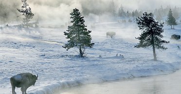 Голос предков зовущий