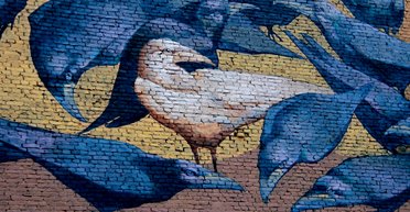 Белые вороны. Четыре истории тех, кто столкнулся с дискриминацией, но не стал ее жертвой