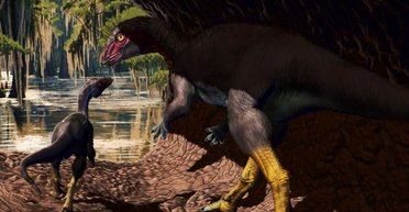 Не больше собаки и жил под землей: ученые нашли необычные окаменелости динозавра в США