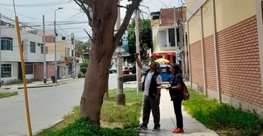 Гроші висіли на деревах: мавпа "обчистила" серію будинків в місті, що вона вкрала (фото)