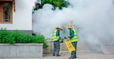 Вирус чикунгунья: в Китае уже свыше 8 000 больных, инфекция добралась до Тайваня (видео)