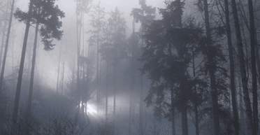 "Спостереження" НЛО, які стали легендами: що говориться в секретних архівах (фото)