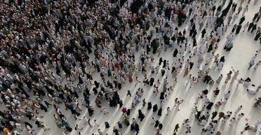 Лишние рты: планета может прокормить только 2,5 млрд из 8,3 жителей Земли. Что делать с остальными?