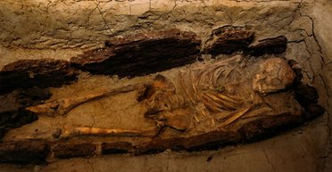 Древний вирус нашли в ДНК людей железного века: ему более 2500 лет