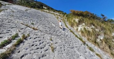 80 млн лет назад нечто оставило 1000 отметин на склоне горы: ученые не знают, что это было